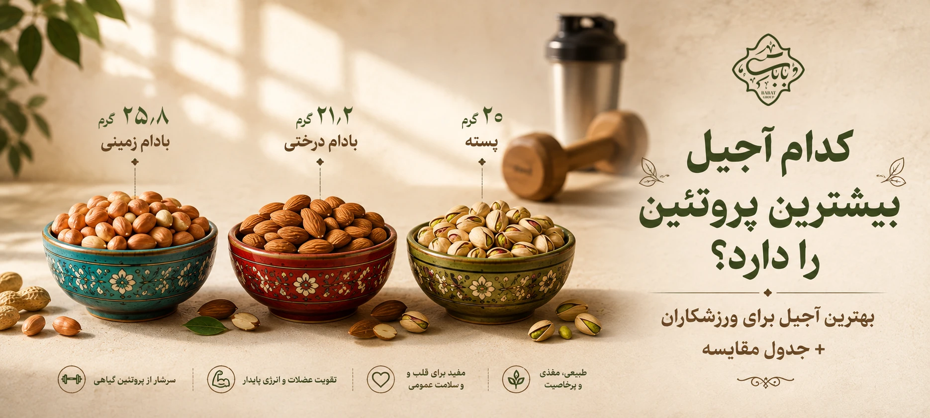 بیشترین-پروتئین-در-آجیل‌ها
