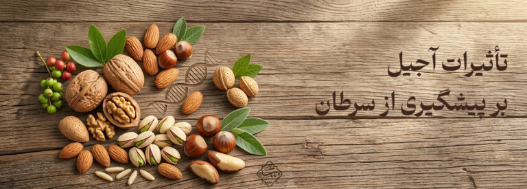 تأثیرات آجیل بر پیشگیری از سرطان + بررسی علمی