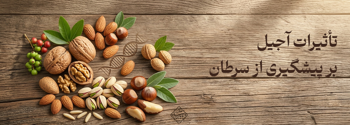 تأثیرات آجیل بر پیشگیری از سرطان + بررسی علمی