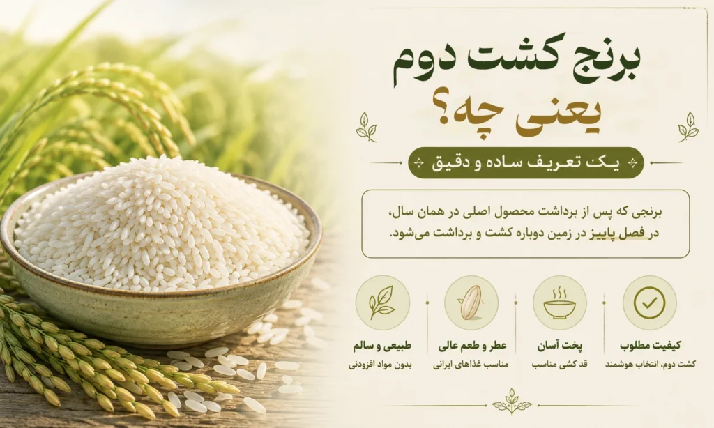 برنج کشب دوم یعنی چه؟